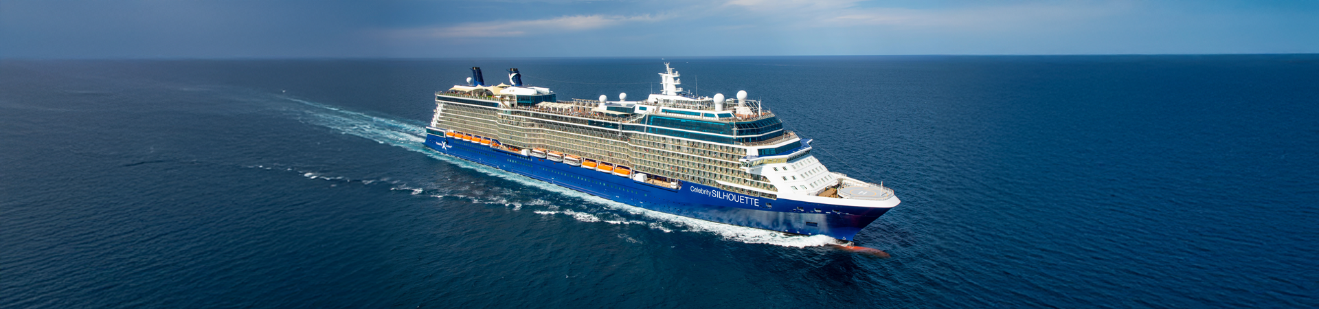 Celebrity Silhouette
