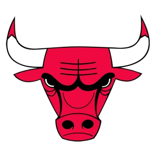 Chicago Bulls · team identity