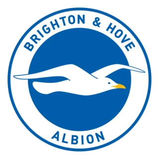 Brighton & Hove Albion · team identity