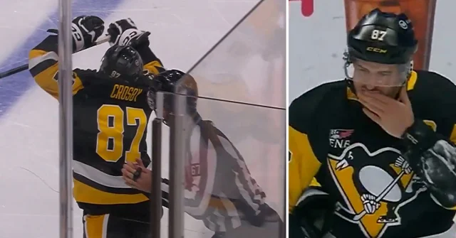 Sidney Crosby får en smäll i ansiktet av domaren under matchen