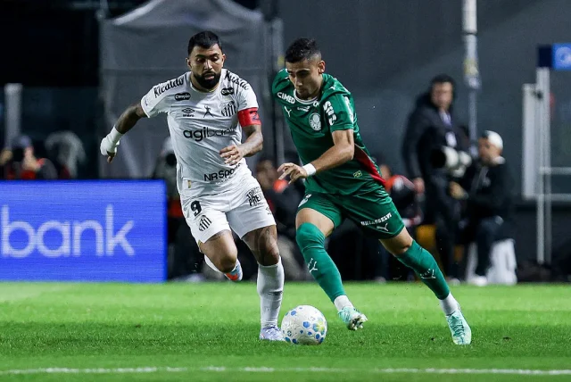 Palmeiras draw with Santos as Flamengo secure top spot