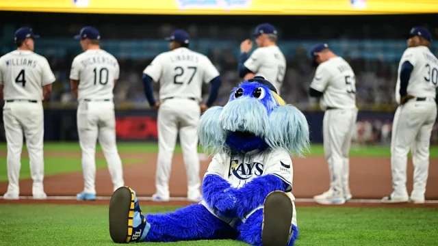 A stringray, a 'seadog' and ... a cat DJ? Meet the Rays' mascots