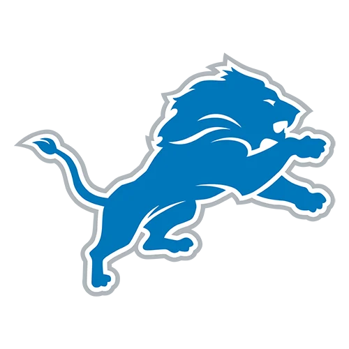 Illustrative subject image: Detroit Lions · team identity