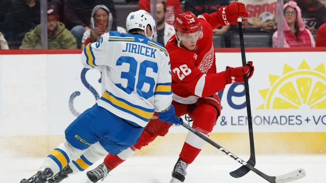 Red Wings falter, squander third-period lead in loss to Blues