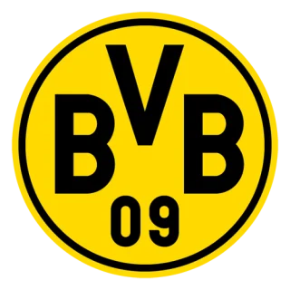 Borussia Dortmund · team identity