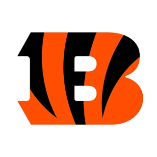 Cincinnati Bengals · team identity