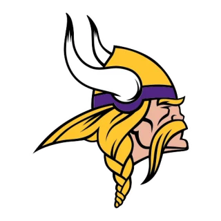Minnesota Vikings · team identity