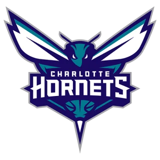 Charlotte Hornets · team identity