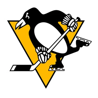Pittsburgh Penguins · team identity