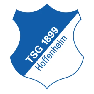 TSG Hoffenheim · team identity