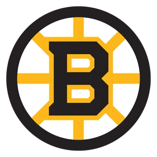 Boston Bruins · team identity
