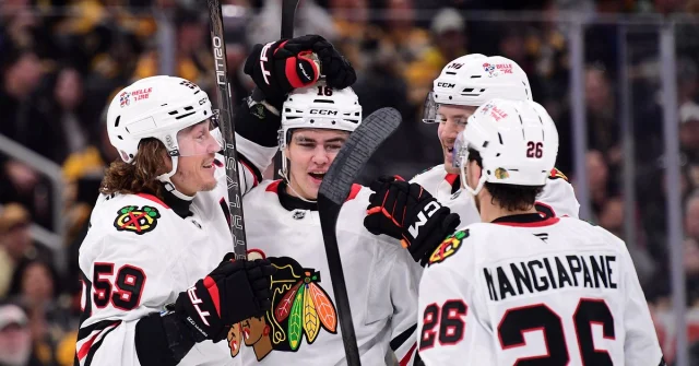 Anton Frondell i Chicago Blackhawks firar med lagkamrater mot Boston Bruins