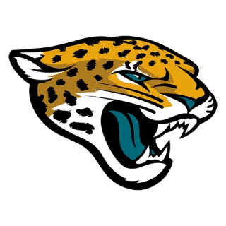 Jacksonville Jaguars · team identity