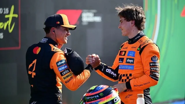 What are 'papaya rules' in Formula 1?