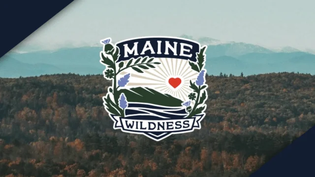 Maine Wildness unveiled: Portland’s new women’s soccer team takes shape