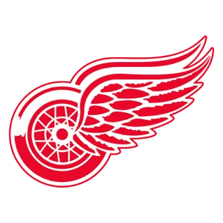 Detroit Red Wings · team identity