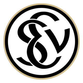 SV Elversberg · team identity