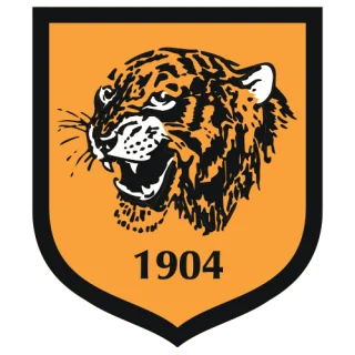 Hull City · team identity