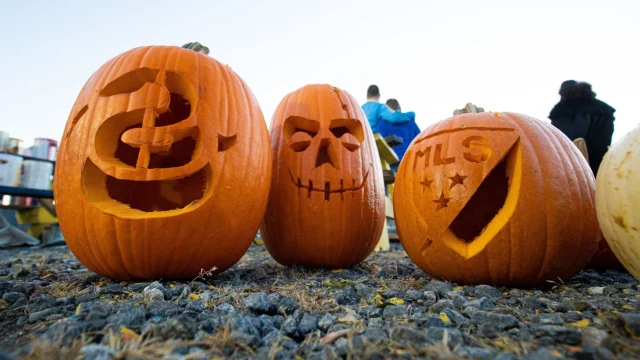 MLS jack-o'-lantern