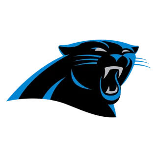 Carolina Panthers · team identity